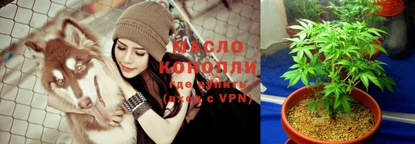 хмурый Снежногорск